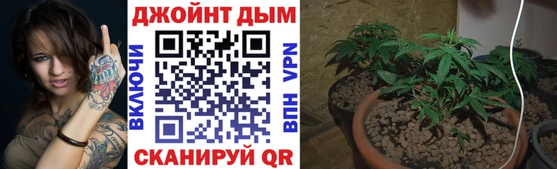Шишки марихуана SATIVA & INDICA  купить наркоту  Таруса 